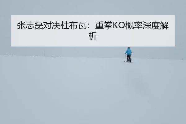 张志磊对决杜布瓦：重拳KO概率深度解析